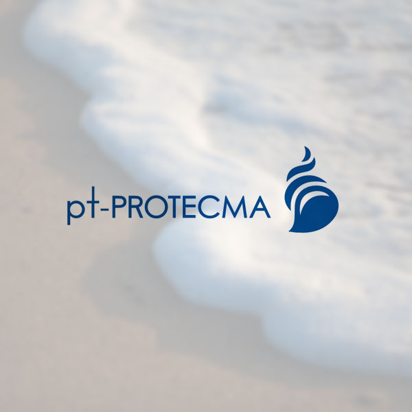 Deseño web pt Protecma