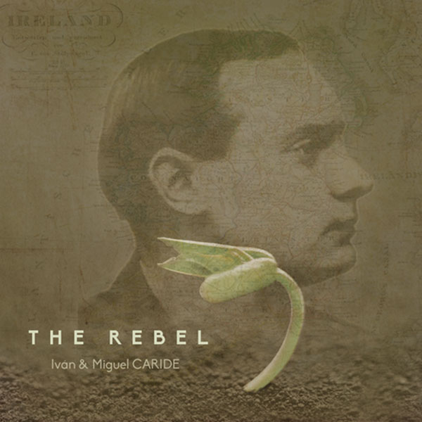 Deseño web The Rebel