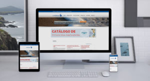 Diseño web PT Protecma